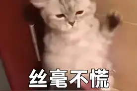 「聊天室」按摩时的尴尬经历，属实是没脸见人了图片