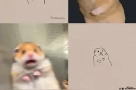 这波动物简笔画爆红网络：神还原，一看就会！都说我是写实派图片