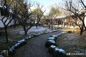 苏州这个冷门园林，花20万两白银打造，茶室很受欢迎图片