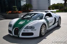 形形色色的国外品牌警车 大众车型比比皆是图片