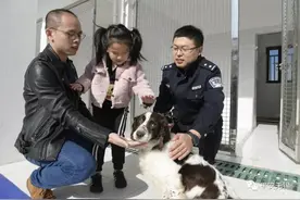 无锡498个家庭争一条狗！这狗实在不一般视频封面