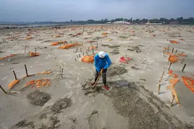 印度大批埋尸点意外曝光，恒河浮尸四处漂流，民众愤怒声讨莫迪图片