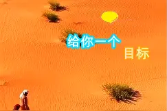 一场励志狗狗追兔子精彩视频奉上给大家！希望大家喜欢图片