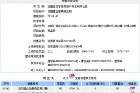 洛阳道北一项目拿到预售证，可售房源167套！图片