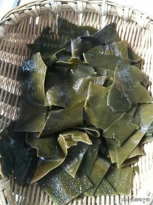 花胶海带瘦肉汤 2026年花胶海参炖瘦肉配什么药材 花胶海带瘦肉汤 2026年花胶海参炖瘦肉配什么药材