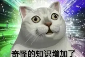 魔兽9.0玩大发了！巫妖王成工具人，喽啰原来才是真正的编剧？图片