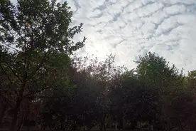 论家长先活好自己的重要性图片