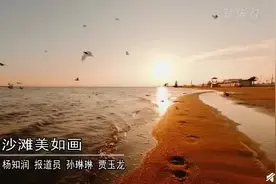 沧州十里金沙滩景色美如画图片
