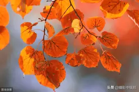 小瑕疵毁大片！3张照片3个摄影忌讳，不要再这样拍风景图片