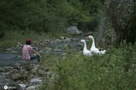 庞麦郎病因成迷，经纪人称公布病情是为寻求帮助，遭庞家质疑图片