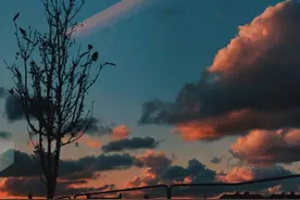 壁纸  |  风轻轻，我听见你声音图片