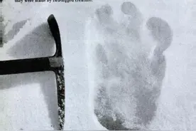 雪人究竟是什么？有人潜入珠穆朗玛峰的寺庙里，偷出一根雪人手指图片
