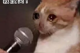 塌房：所有追星女孩的噩梦图片