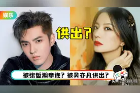 《还珠格格》等作品突然下架，赵薇被封杀，封杀原因逐渐浮出图片