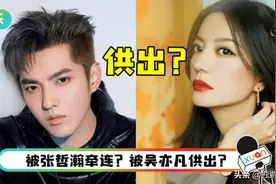 《还珠格格》等作品突然下架，赵薇被封杀，封杀原因逐渐浮出图片