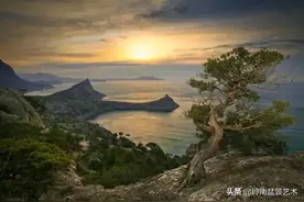天地“清明”，用舍利盆景演绎向死而生的精神！图片