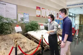 边逛边学第三期：老墙艺术，好新鲜！图片
