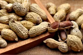 种花生不出芽，从种子自身因素、外界条件找出原因，出芽更齐图片