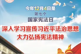 【12·4国家宪法日】学习宪法，从现在开始！图片