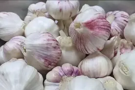 新蒜必不可少要腌糖醋蒜，教你配方和比例，酸甜爽脆又开胃图片