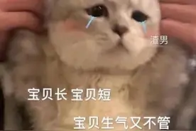 沙雕表情包第二十期（喵喵喵）图片