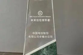安徽电信天翼安全大脑荣获2021年度IDC未来信任领军者奖图片