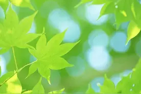 诗坛乱象惨不忍睹，还不如读读这个……图片