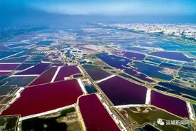 运城盐湖景区3月20日起恢复营业图片