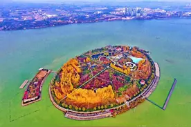 沿着黄河看小康⑧ | 老家"河之洲"图片