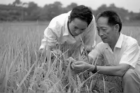 袁隆平的“特殊驾照”，全国仅此一本，上面7个大字让人肃然起敬图片