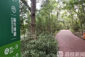紫金山的“野道”能不能走？专家提示存在这些风险图片