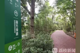 紫金山的“野道”能不能走？专家提示存在这些风险图片