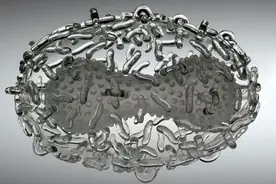 世界之最：史上致死人数最多的病毒图片