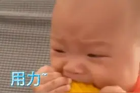 笑哭！广东一萌宝抱着玉米一顿猛“操作”，最后成功把自己整哭了图片