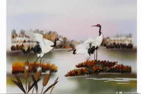 精美羽毛画合集图片