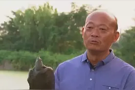姚志刚：不到两万元入行，养龟鳖绝地翻身，年卖甲鱼达千万元图片