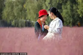 新开免费！地铁直达的千亩郊野公园！粉黛子花海美哭了！图片