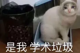 表情包 | 是我，学术垃圾图片