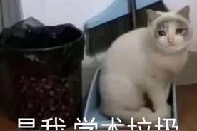 表情包 | 是我，学术垃圾图片
