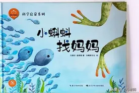 亲子早教游戏1000例——小蝌蚪找妈妈（语言）图片