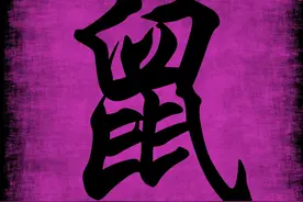 《汉字与十二生肖》：聊聊那些你没听说过的“鼠文化”图片