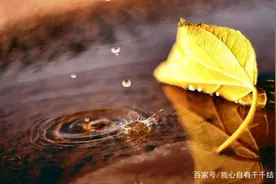 当我们说“顺其自然”的时候，我们是怎样的心态？图片