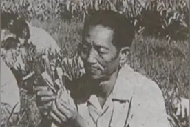 “杂交水稻之父”袁隆平院士逝世图片