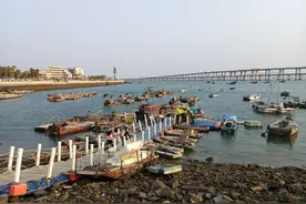 厦门将建设一处海岸带保护修复工程，全长3.1公里，总投资2.54亿图片