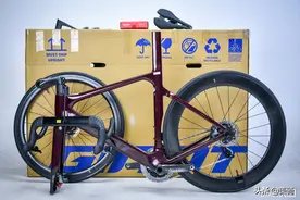 罪恶都市涂装 捷安特PROPEL ADV SL 1 DISC开箱装车图片