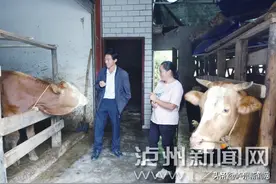 泸州90后农家女带上俩娃脱贫奔康 成当地脱贫致富明星图片