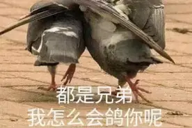 “996”刚过，“715”又来，“违法”的“福报”，为何管不住图片