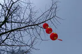 农村俗语：“男人若犯四，就算不死，也要脱层皮”说的是啥意思？图片