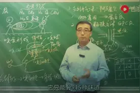 人的舌头，能感受几种味道？人大附中李永乐老师说错的一点知识图片
