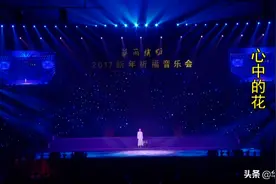 中国音乐学院青年歌手赵雪演唱心中的花#音乐图片